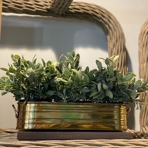 Long Brass Planter Tray